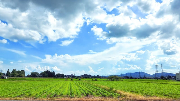 田舎