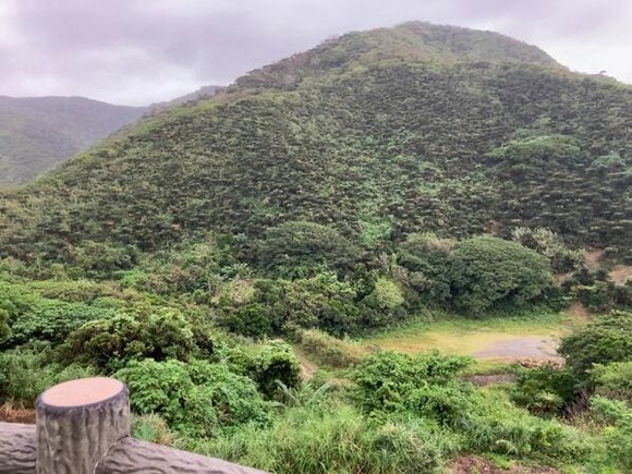 【前編】奄美大島大和村登山口から湯湾岳（標高694m）まで歩く