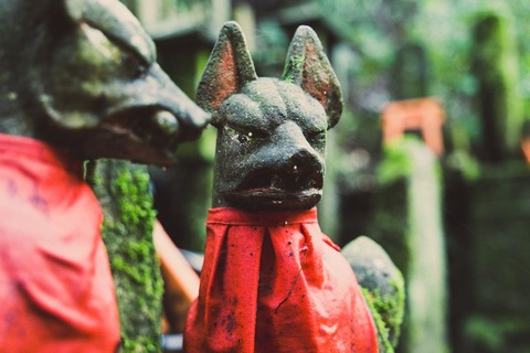 キツネ