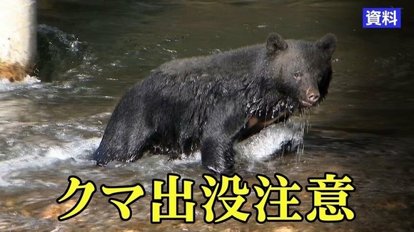 【岩手】雫石町でまたクマ物的被害　侵入しようとして玄関のガラス割る　7月に発生相次いだ地区から南に20キロの場所