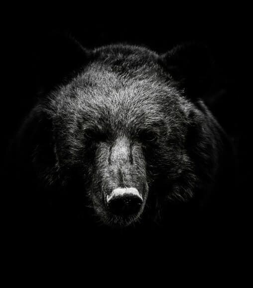 leonhard-niederwimmer-rdVmRUlD0p8-unsplash (1)