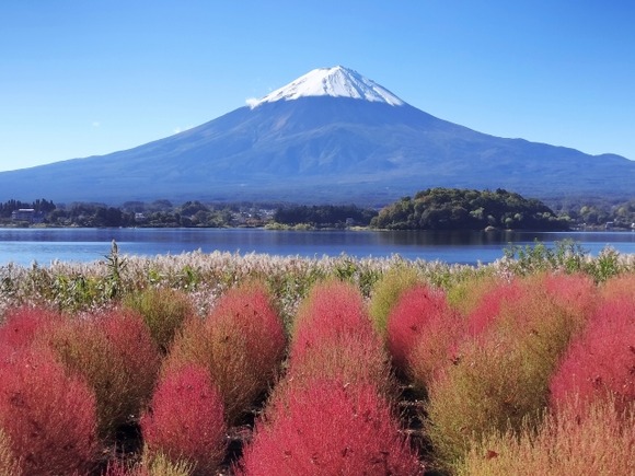 もしかして富士山にクマっている？