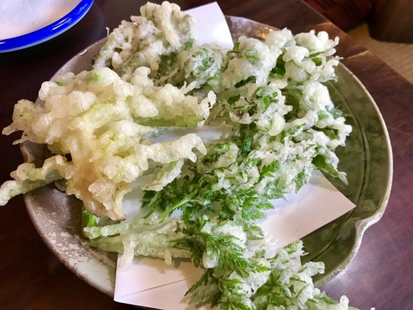 【画像】山さ行ってきただ。山菜採ってきただ。