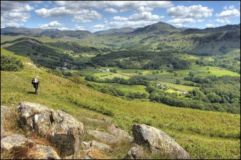 3620029062_1b48329e99_o