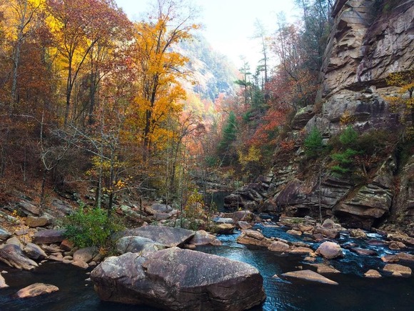 mountain stream