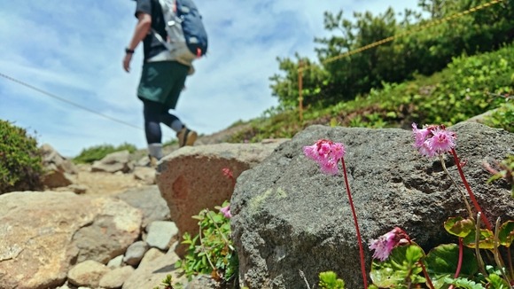 ワイ「50Lのバッグってどのくらい入るんやろ」→検索結果にドン引き