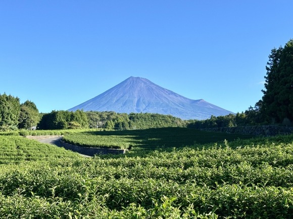 静岡と栃木住むならどっち？