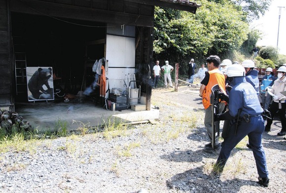 地球上でも珍しい「クマのすむ首都」東京！増える出没に住民「動物園にいるもんだと…」