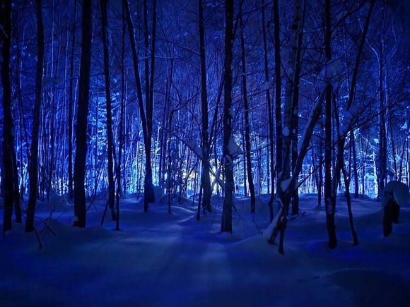 【画像】ワイ北海道旅の引きこもり、寒さを乗りきって旅してきた結果ｗｗｗｗｗｗｗｗｗｗｗ