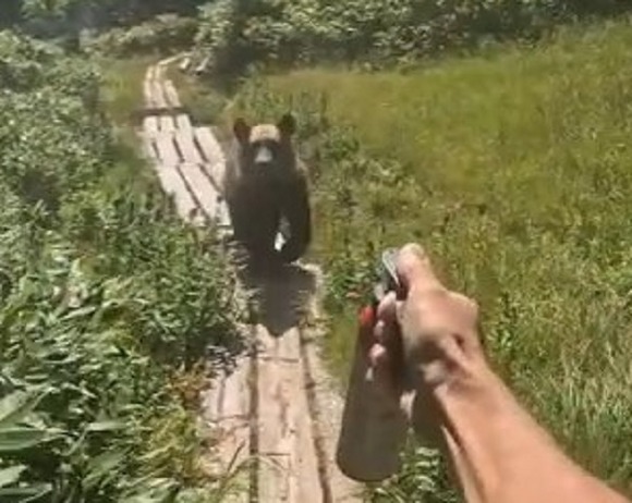 【北海道】巡視員が登山道でヒグマに約100メートル追いかけられる・・・