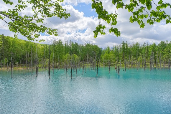 全都道府県に最低5泊してきたけど各県で一番行くべき観光地はたぶんこれ