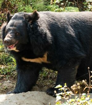 20240610-00131496-gendaibiz-000-1-view