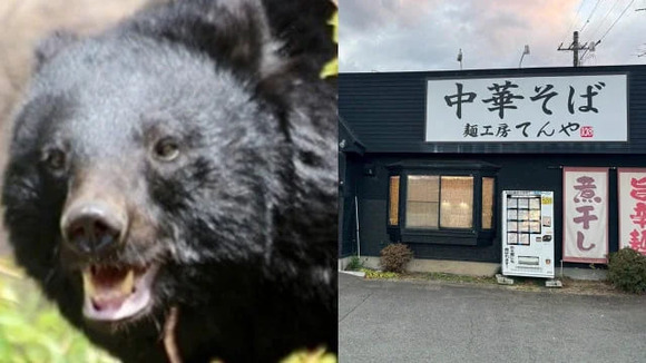 【青森・はぐれ子グマがラーメン店襲撃】「笑えないです」ボコボコにしてクマを返り討ち　レジェンド男性はまぶたが腫れあがり骨折