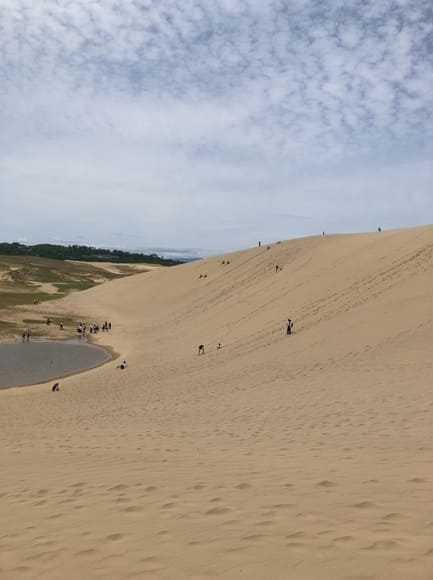 【画像】鉄ヲタのラブライバー、なんとなく鳥取