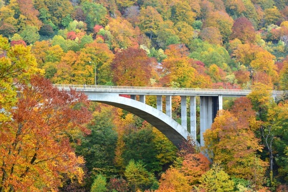 【悲報】秋の旅行、紅葉と温泉しかなくて糞つまらない