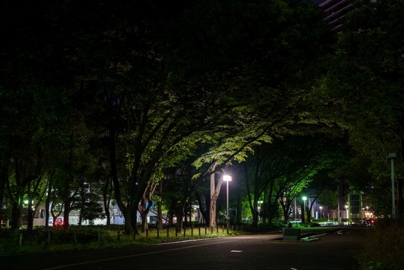 夜に散歩するの好きなんやけどわかる人おる?