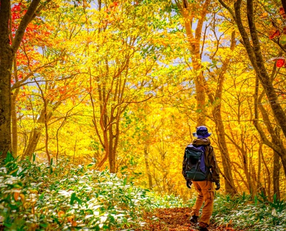 60代になったら体力が一気に落ちて以前の半分のコースにしているわ