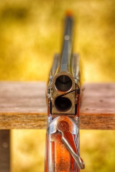 北海道でマタギになりたいんやが