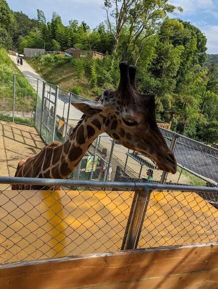 【画像】うどん県の動物園行ってきたで