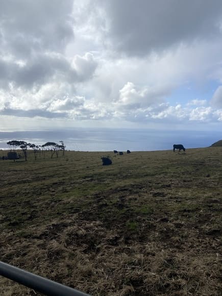 【画像】八丈島に釣りキャンしにきた