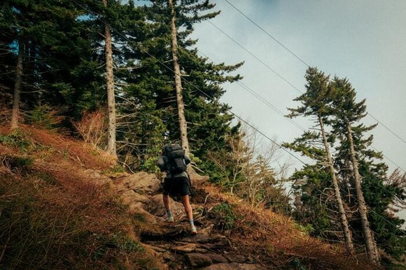 hiker