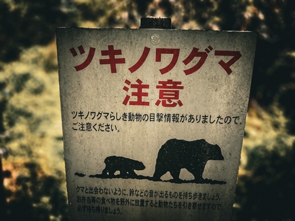 X民「私の考えるクマ対策はこうです」