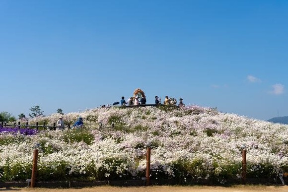 親父「山頂で食べるカップラーメンはうまいだろ！？な！？な！！？？