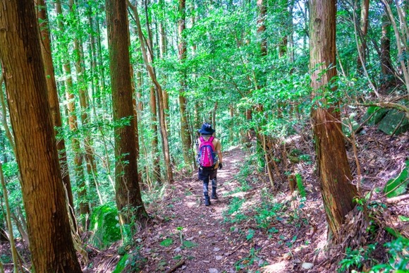 山頂でビール飲んでしまったらどうやって帰って来るんですか