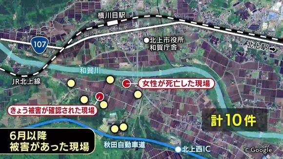 【岩手】「人間の建物に入ればコメが食べられる」クマが覚えたか　女性が死亡した地域で新たな被害　同一個体とみてわなを追加