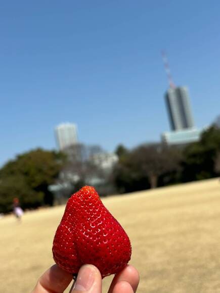 【画像】1人で「新宿御苑」にきたｗｗｗｗｗｗｗｗｗｗｗｗ