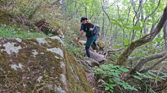 登山ツアーやるなら10人以下にしてほしい…邪魔で仕方ない