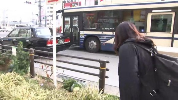 キャベツを見る人