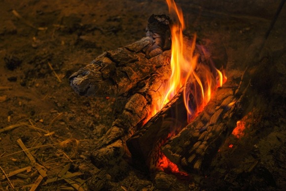 狩猟採集時代は3～4時間の労働で食べていけてた