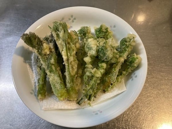 【画像】帰りに山菜取って来た【地区管理の山】