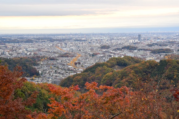 Hachioji_(27980514509)