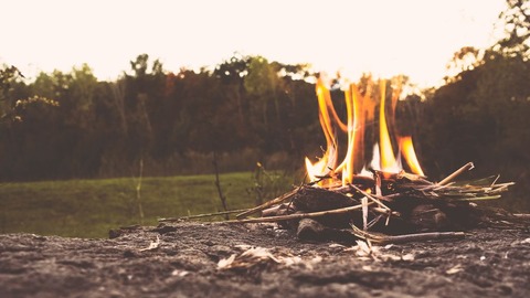 branson-rose-691625-unsplash
