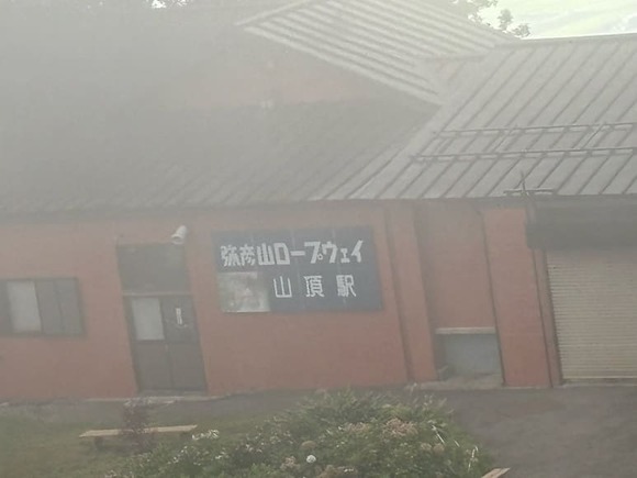 44