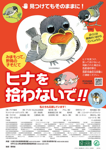 スズメのひなを拾わないでポスター