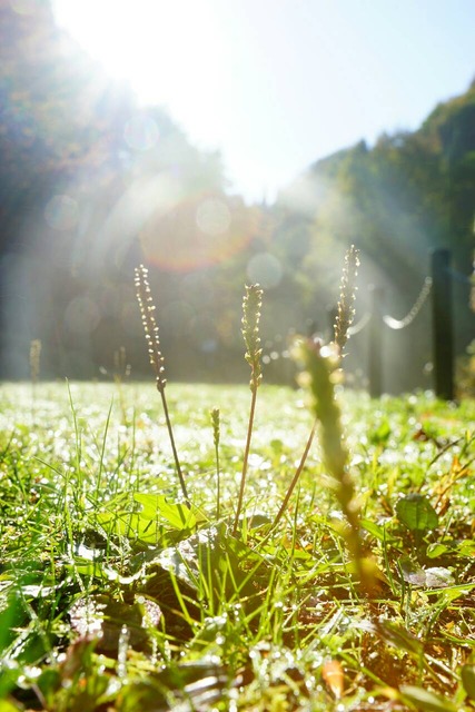 127