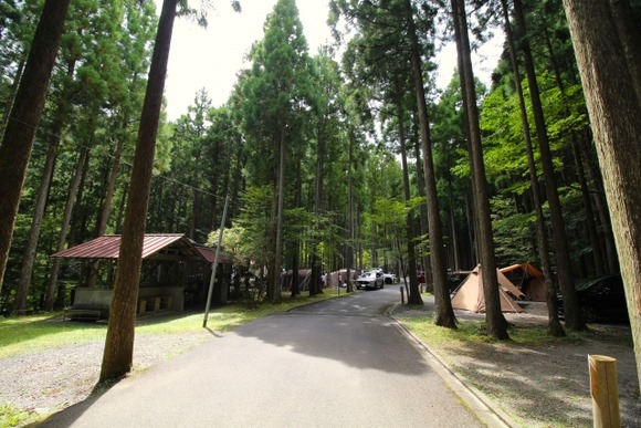 「山梨キャンプ場女児失踪事件」って結局マジで謎のままだけどお前ら真相はどう思う？