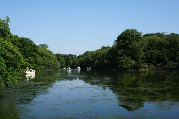 井の頭公園