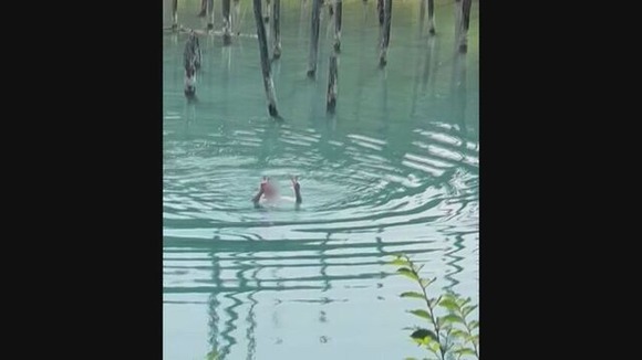 【北海道】遊泳禁止の人気観光地「青い池」で外国人男性が泳ぐ姿が目撃される