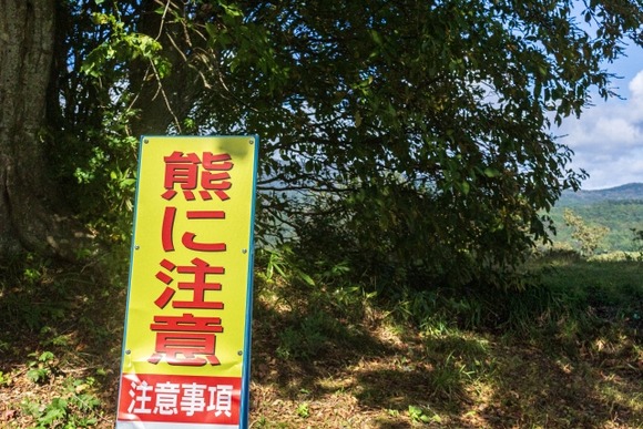 山形県「もう人里に下りてくるんじゃないぞ」クマ「はい…」→秋田県の人里で捕獲され駆除へ