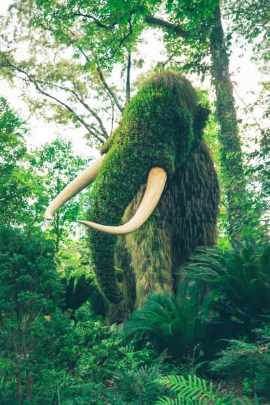 【画像】国立博物館でマンモスの体毛買ってきたよ