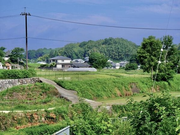 【画像】明日香村お散歩してきたから写真貼る
