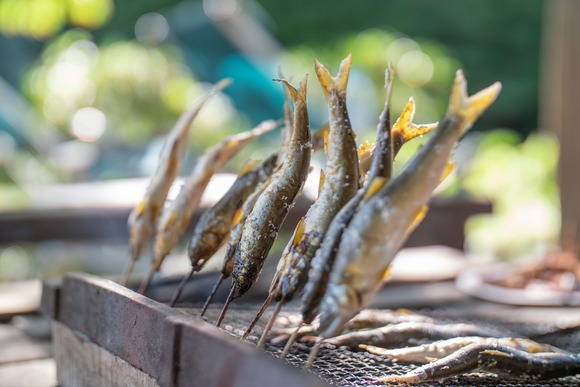 渓流の魚を食ったことある奴ちょっと来てくれ