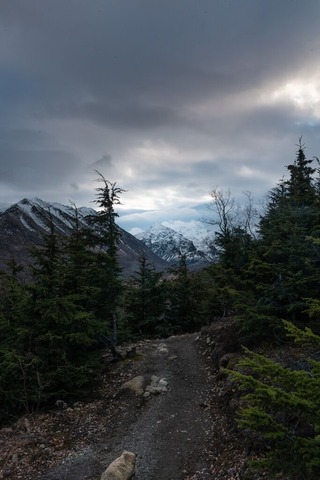 高山登山道