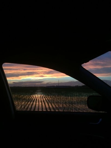 軽なんかに寝泊まりするようになったら人生終わりだよな