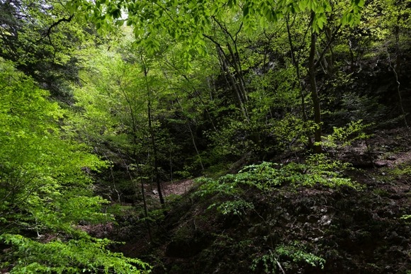 山でホームレスする予定なんだがオススメの山あるか？