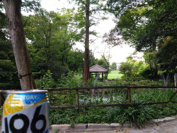 公園でボッチで飲んでる(´・ω・`)